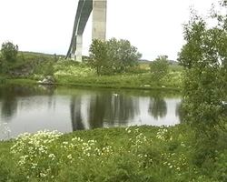 Wiesenlandschaft